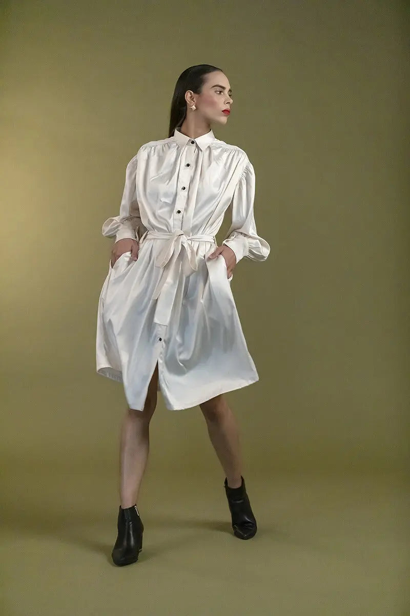 Emily Silk Dress