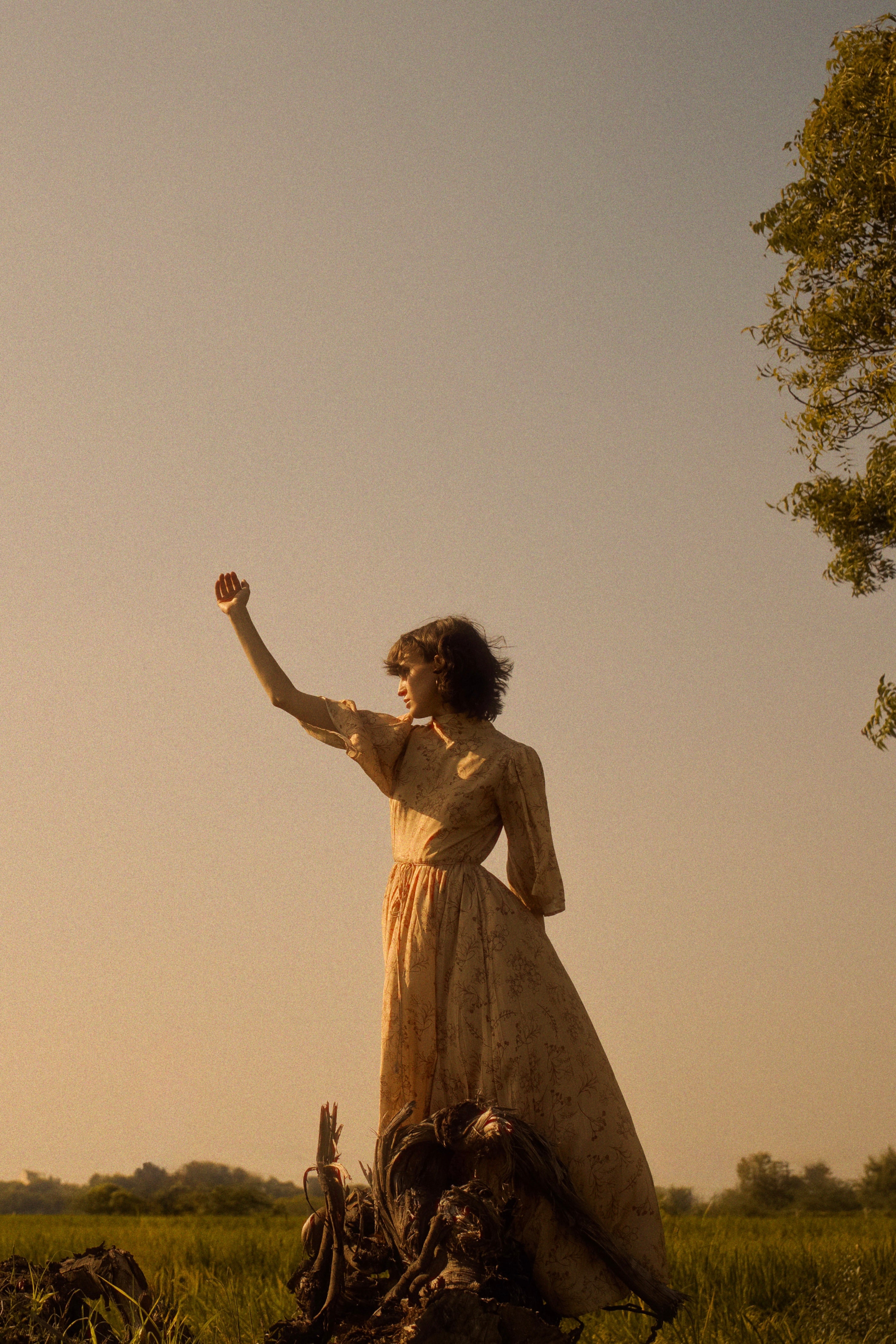 Tatiana Dress
