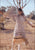 Kalon Dress